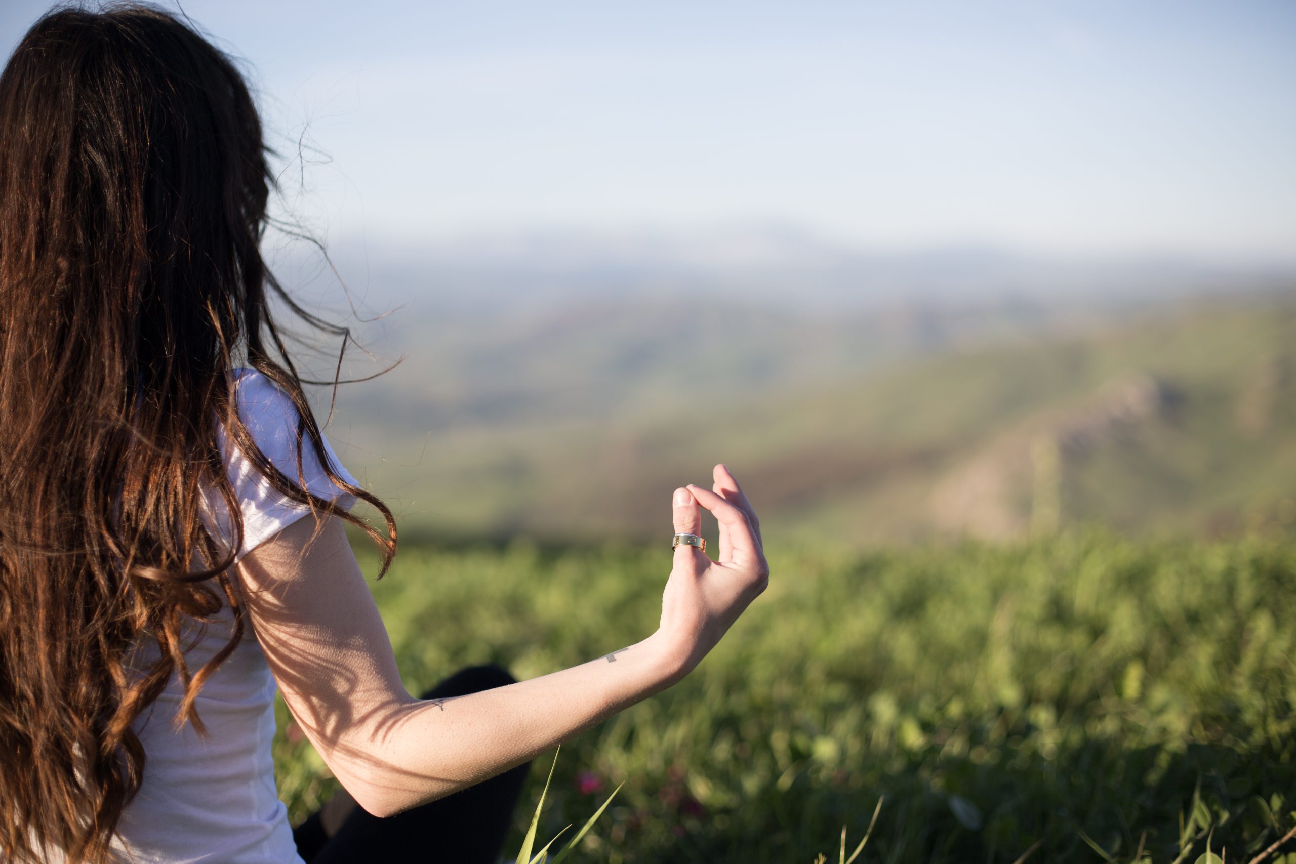 wellness race, slow and steady, health